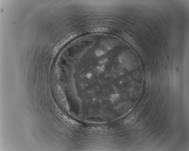 X0000057100721200509161654