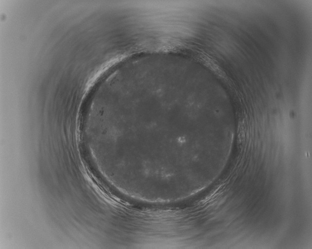 X0000057100722200509161654