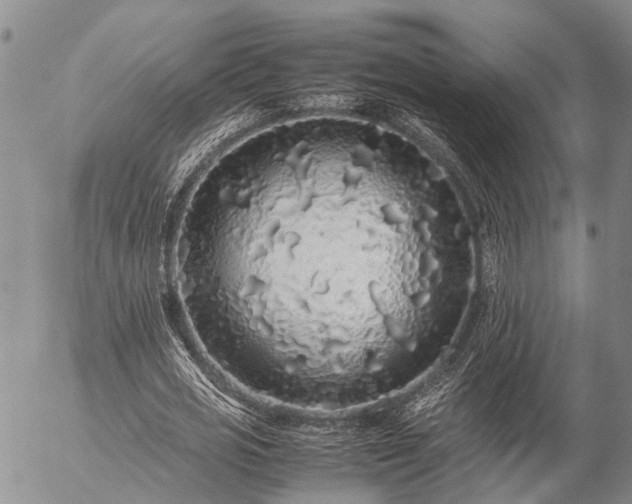 X0000057100725200509161654