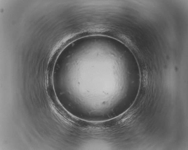 X0000057100726200509161654