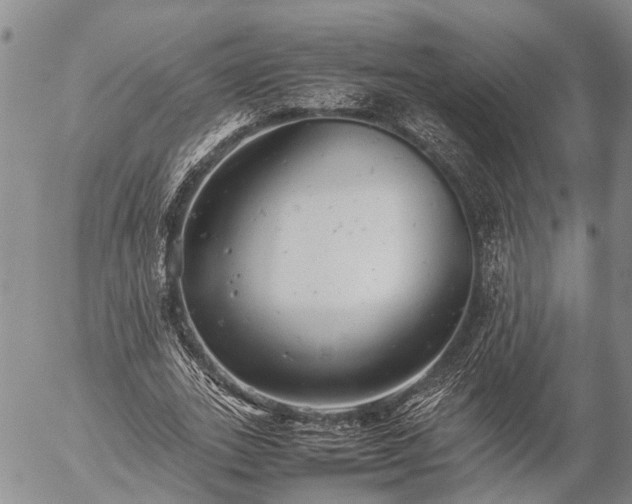 X0000057100727200509161654