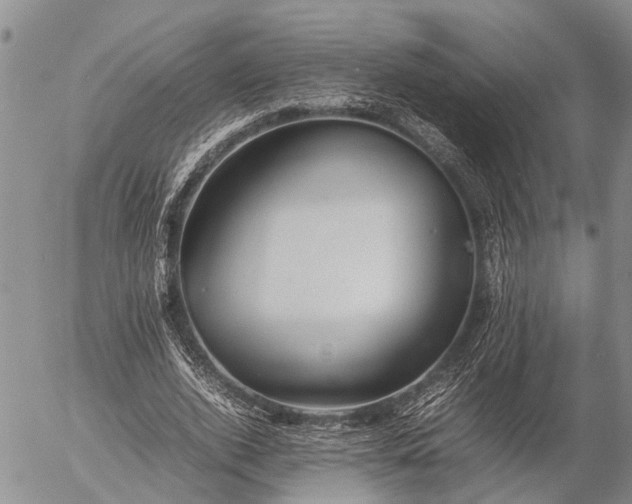 X0000057100728200509161654