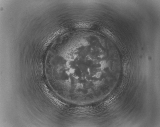 X0000057100729200509161654