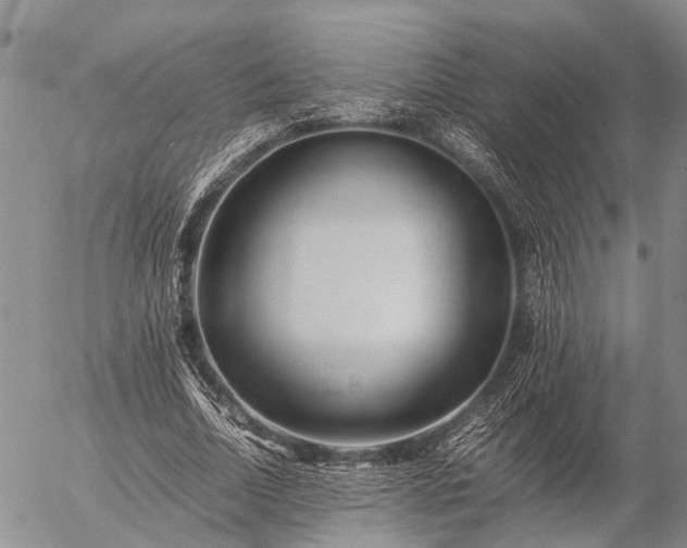 X0000057100730200509161654