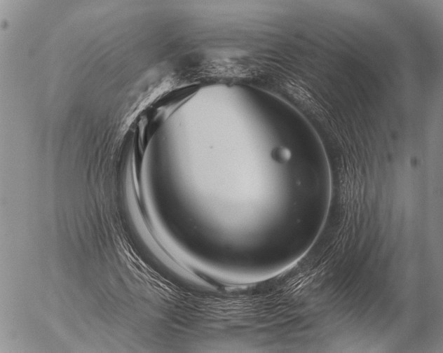 X0000057100731200509161654