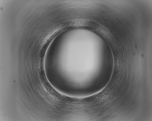 X0000057100732200509161654