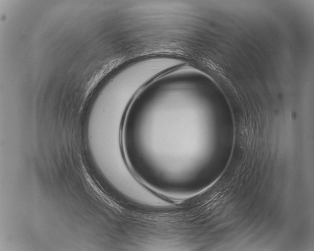 X0000057100734200509161654