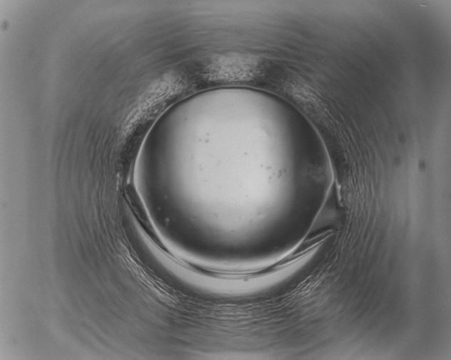 X0000057100735200509161654