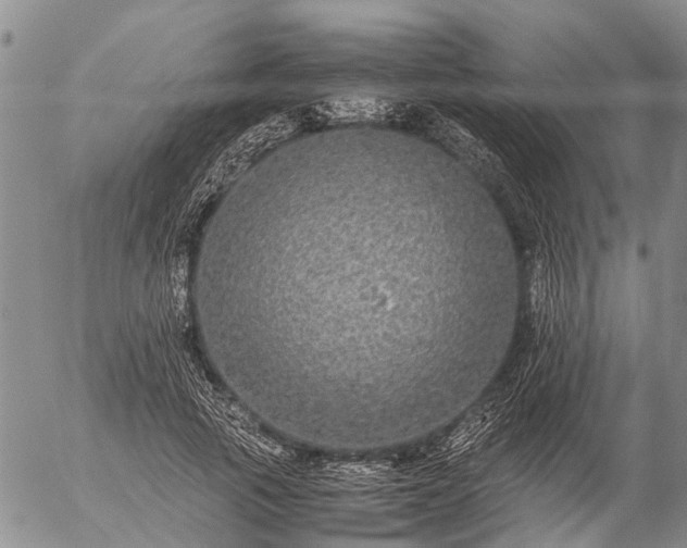 X0000057100737200509161654