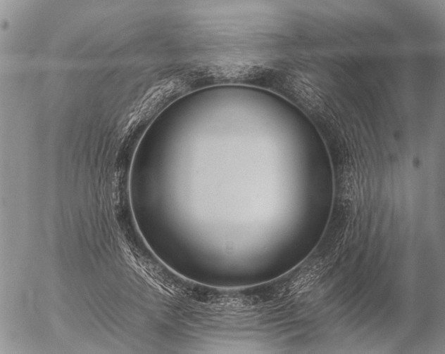 X0000057100738200509161654