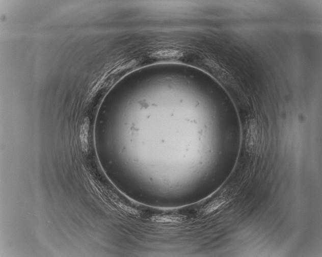 X0000057100739200509161654