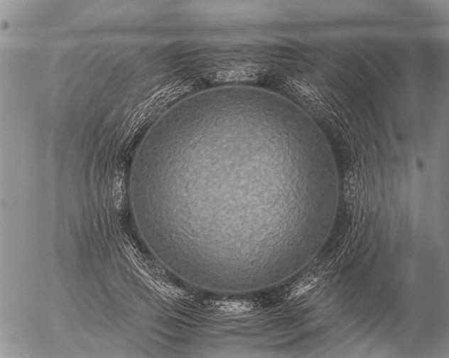 X0000057100741200509161654