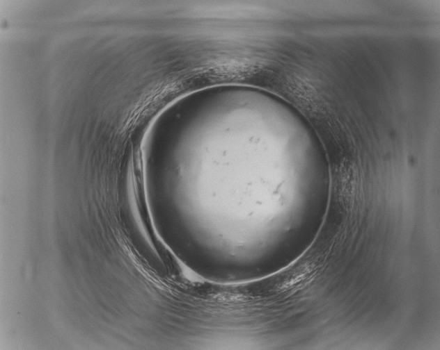 X0000057100742200509161654