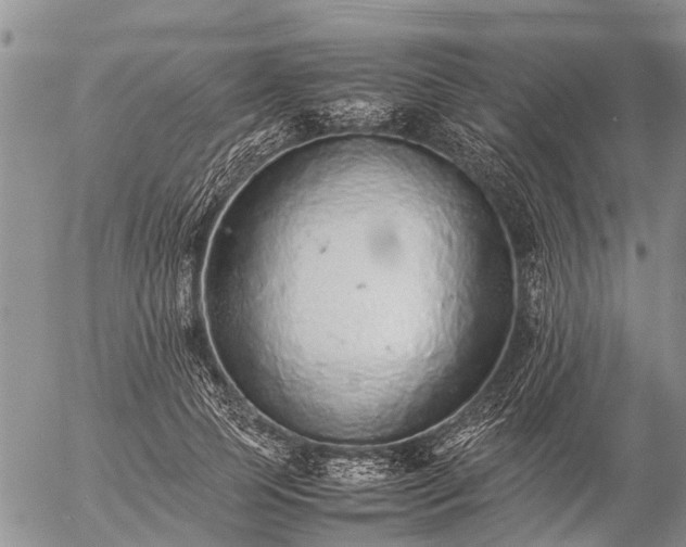 X0000057100745200509161654