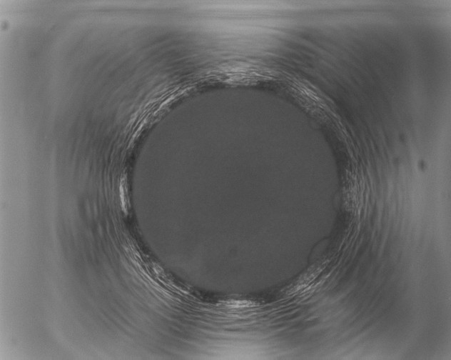 X0000057100748200509161654