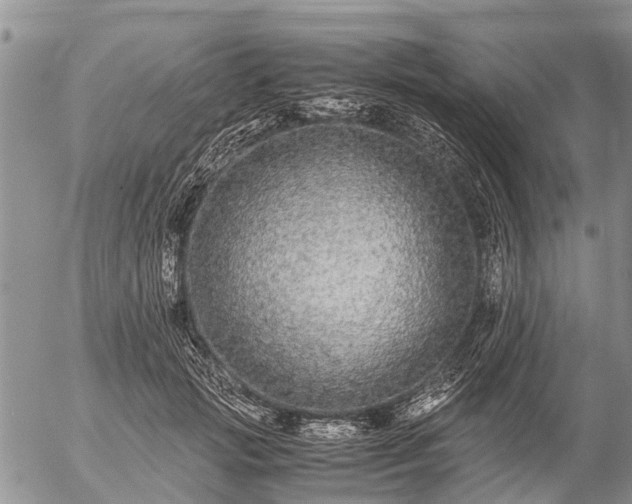 X0000057100749200509161654