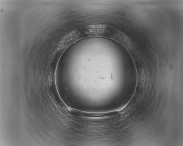 X0000057100751200509161654