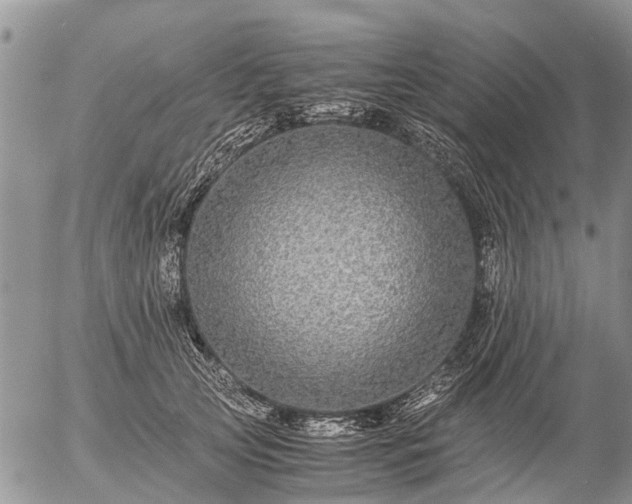 X0000057100753200509161654