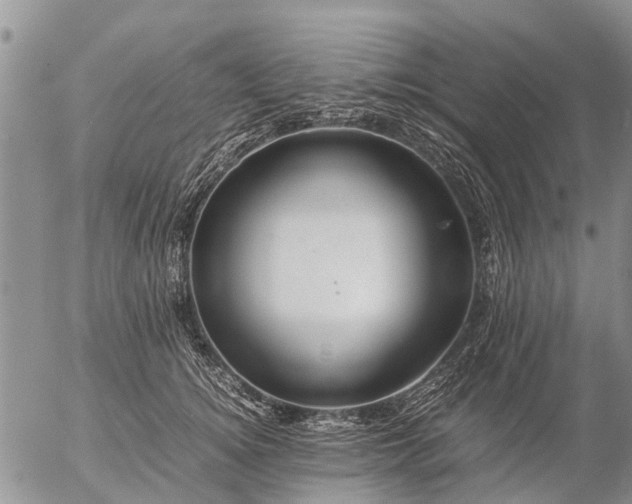 X0000057100756200509161654