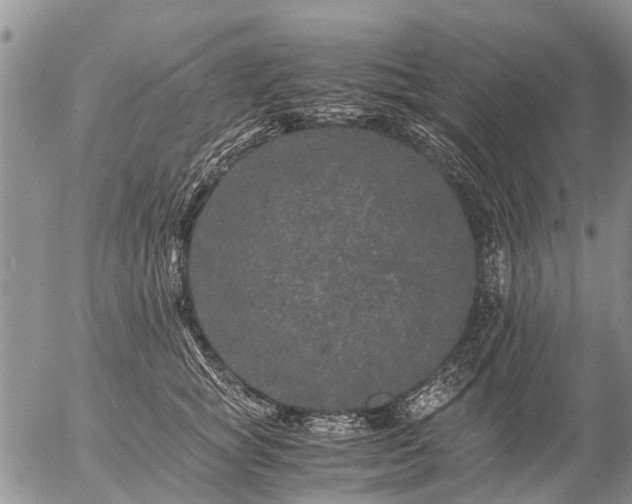 X0000057100757200509161654