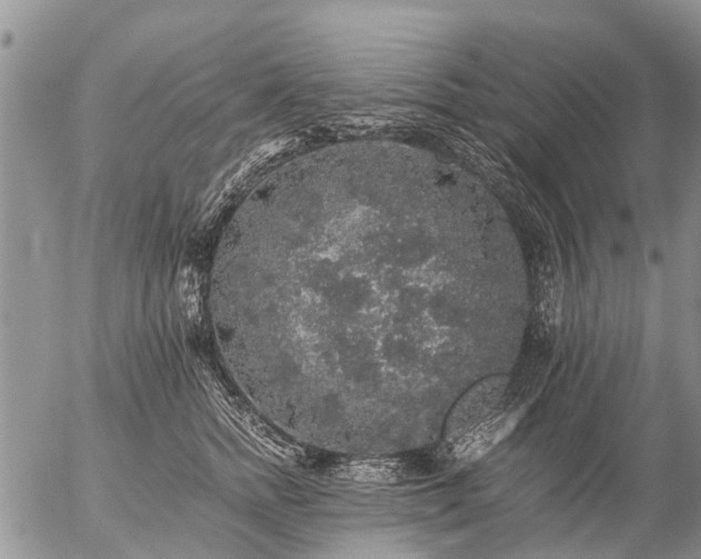 X0000057100758200509161654