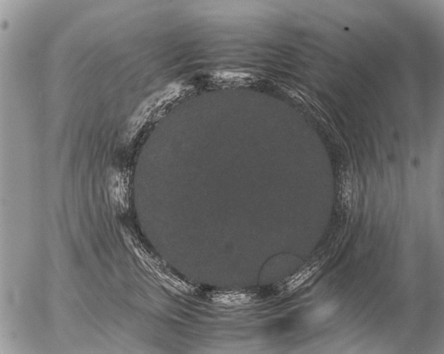 X0000057100759200509161654