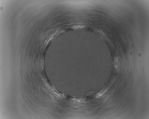 X0000057100763200509161654