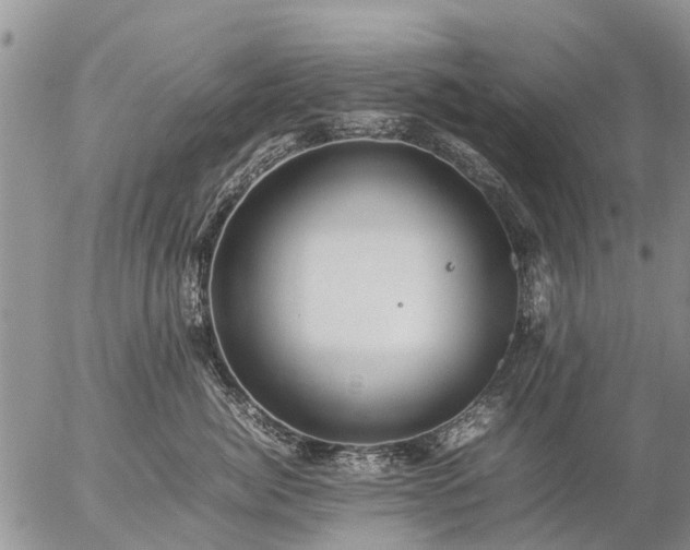 X0000057100764200509161654