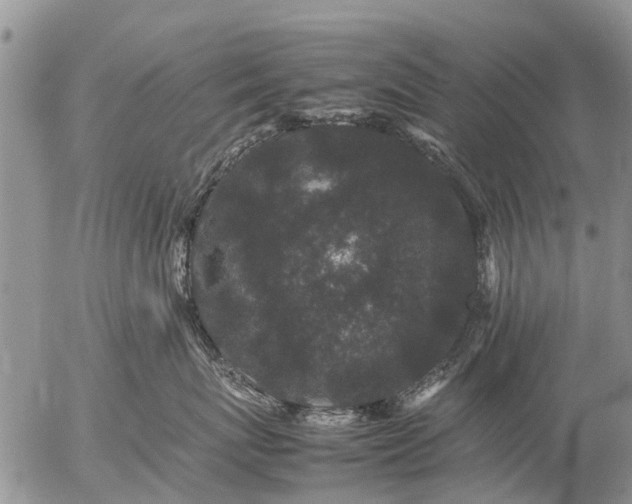 X0000057100767200509161654