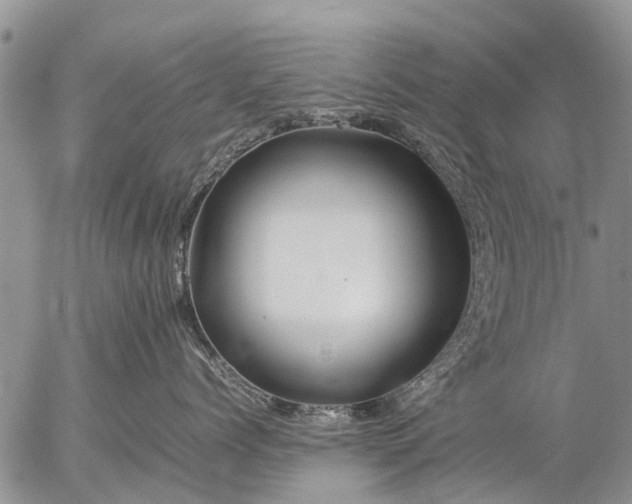 X0000057100768200509161654