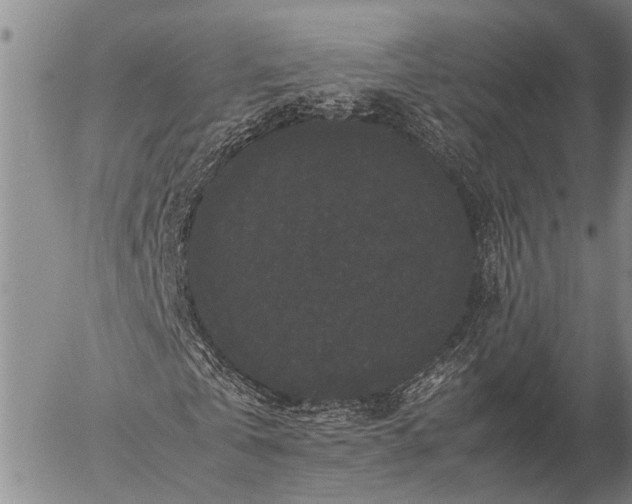 X0000057100769200509161654