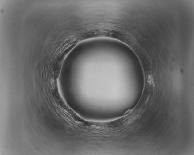 X0000057100771200509161654