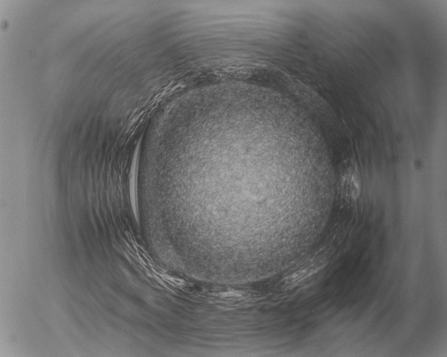 X0000057100772200509161654