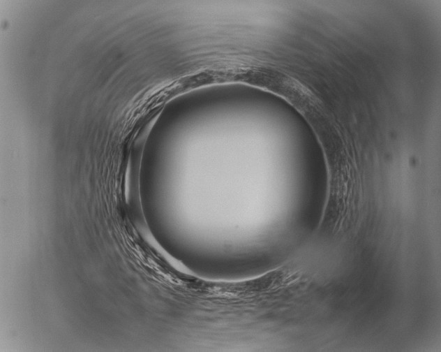 X0000057100773200509161654