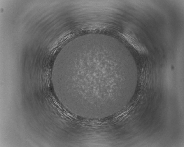 X0000057100774200509161654