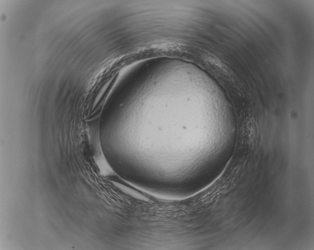 X0000057100776200509161654