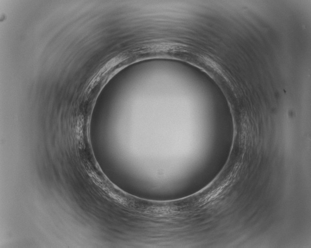 X0000057100778200509161654