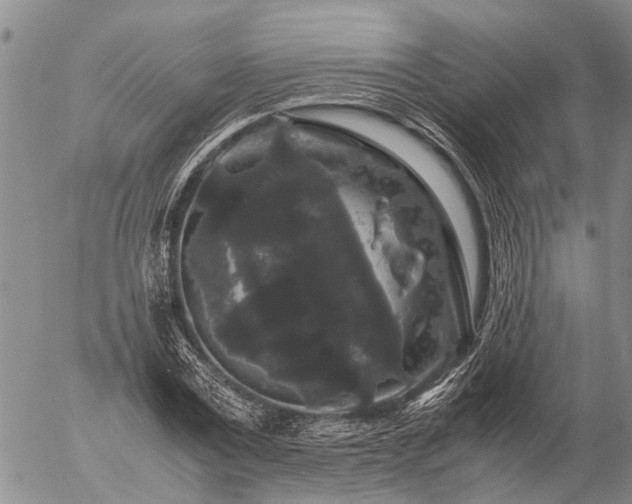 X0000057100779200509161654