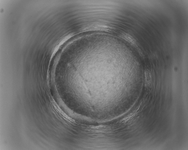 X0000057100780200509161653