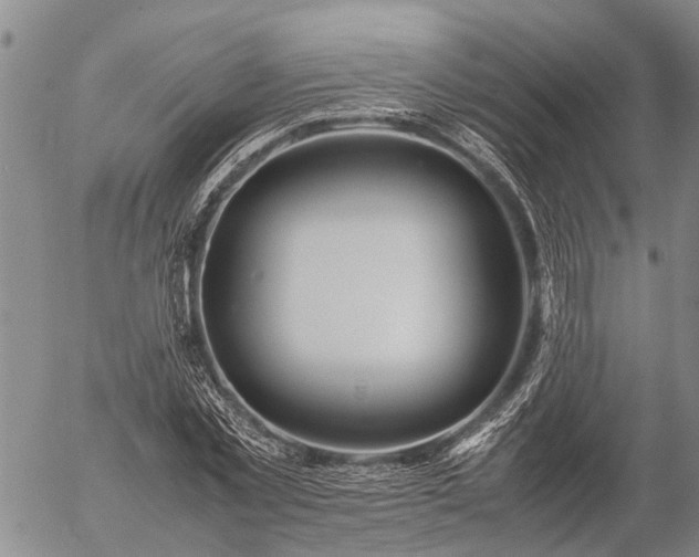 X0000057100781200509161653