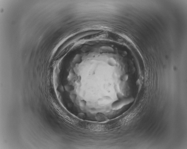 X0000057100783200509161653