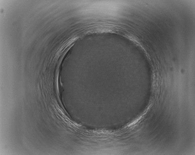 X0000057100785200509161653