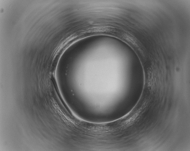 X0000057100786200509161653