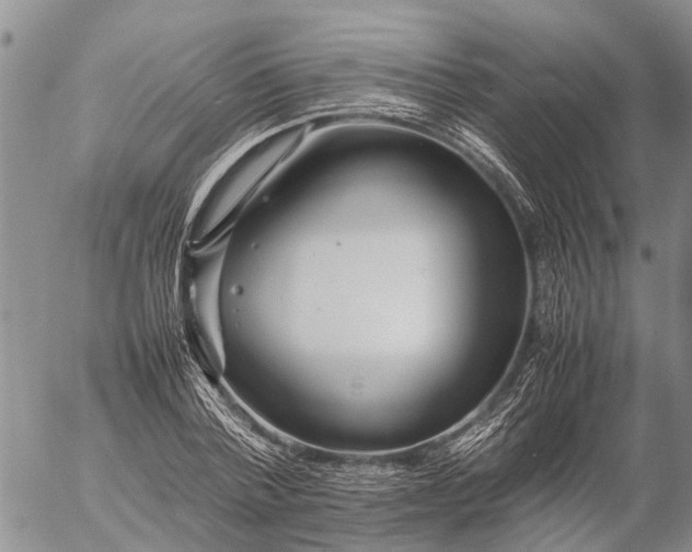 X0000057100788200509161653