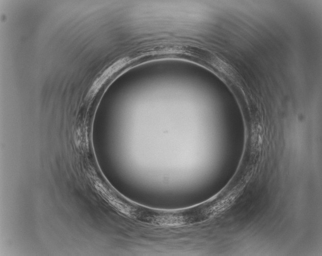 X0000057100789200509161653