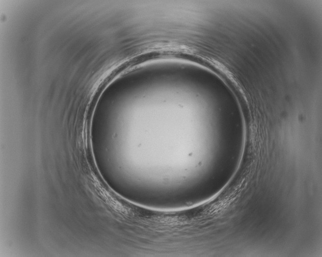 X0000057100791200509161653