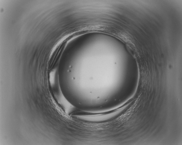 X0000057100792200509161653