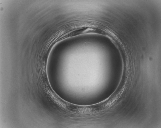 X0000057100793200509161653