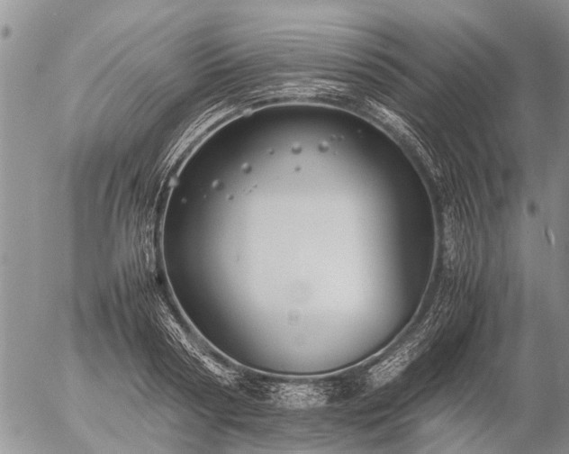 X0000057100794200509161653