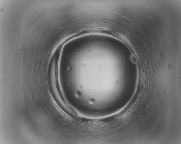 X0000057100795200509161653